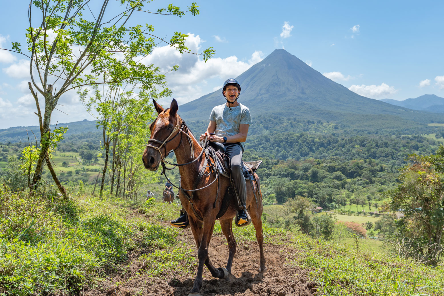 Pacos Horses